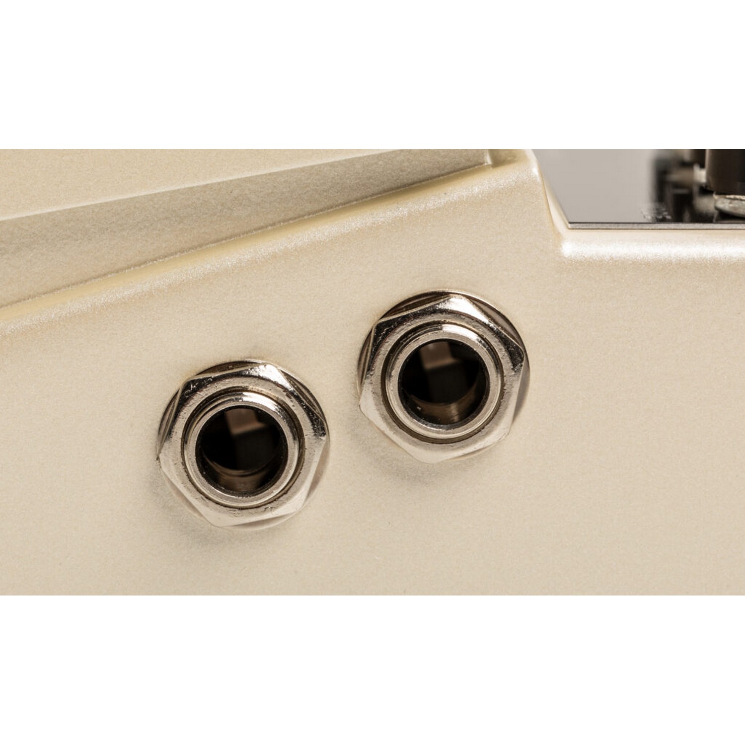 Педаль эффектов Boss DD-3T - 24