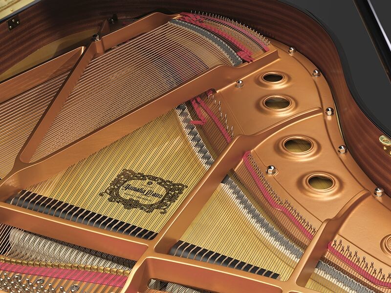 Дисклавир Yamaha DGCB ENST PE - 5