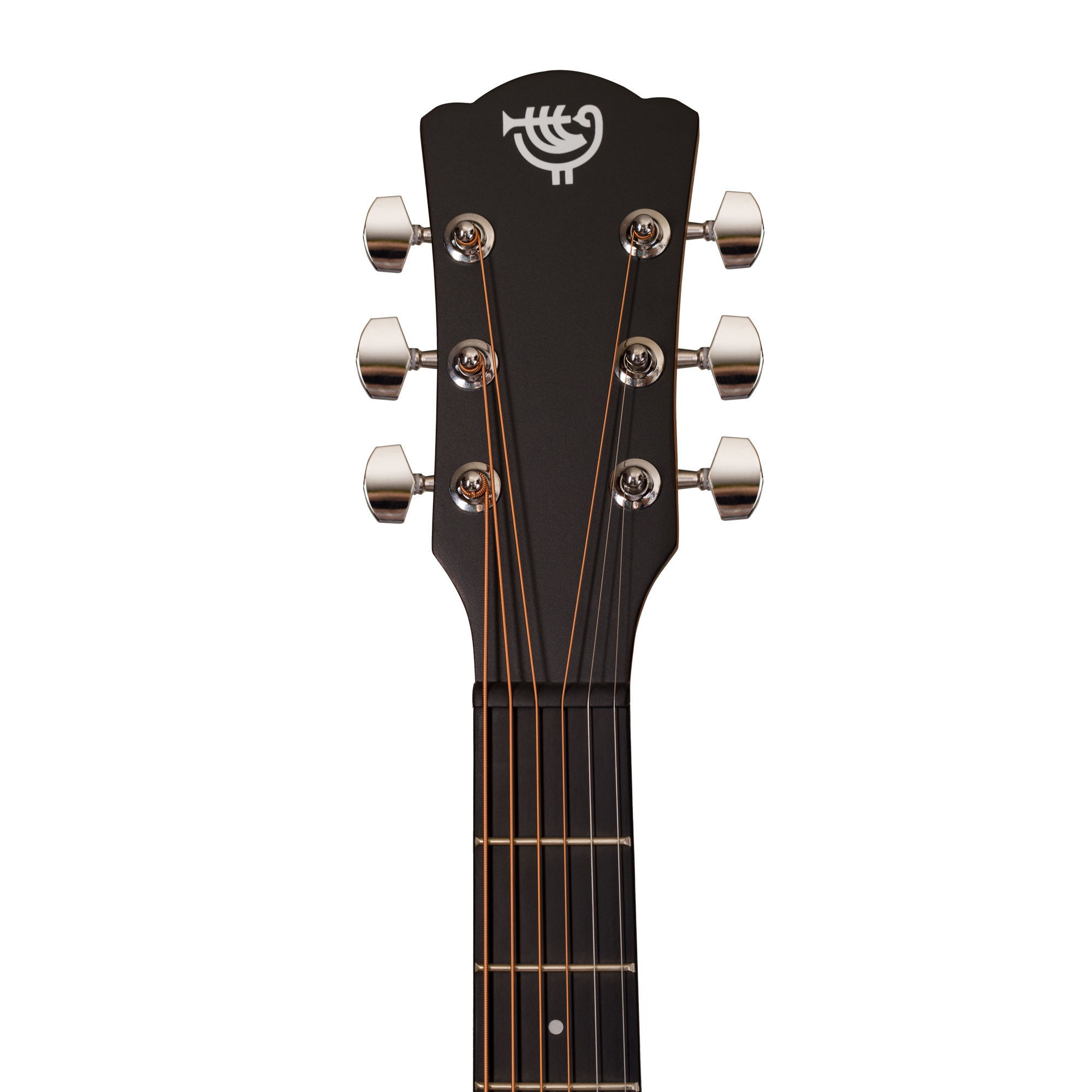 Акустическая гитара Rockdale Aurora D3 C Bk Satin - 18