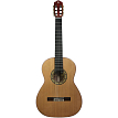 Классическая гитара Natasha N4C 650 Natural - 1