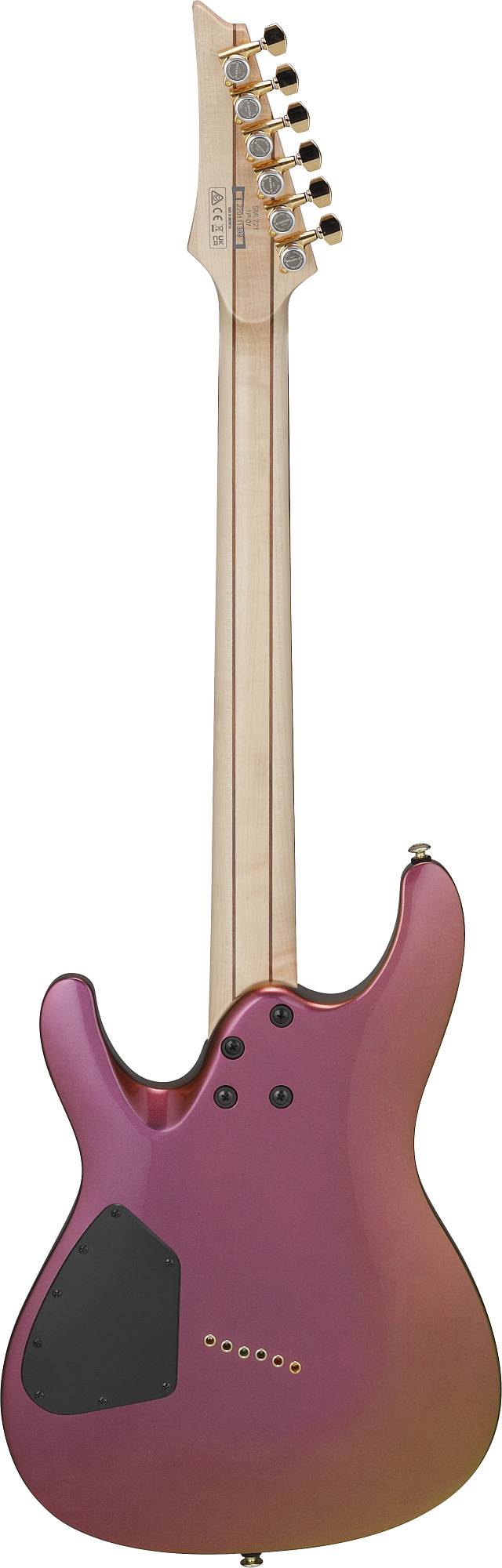 Электрогитара Ibanez SML721-RGC - 10