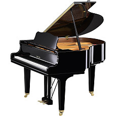 Дисклавир Yamaha DGCB ENCL PE