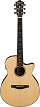 Акустическая гитара Ibanez AEG200-LGS - 1