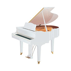 Дисклавир Yamaha DGC2 ENST PWH