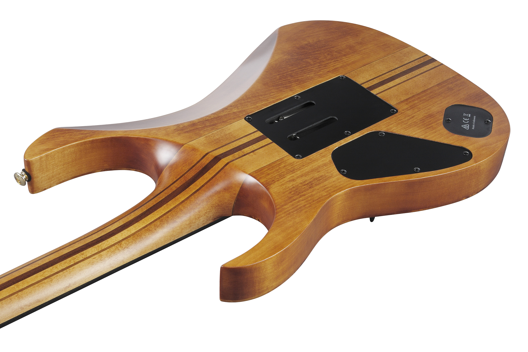 Электрогитара Ibanez RGT1220PB-ABS - 16