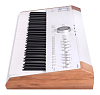Сценическая клавиатура Arturia Astrolab White - 3
