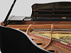 Акустический рояль Yamaha GCB PE - 3