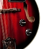 Электроакустическая мандолина Stagg M50 E - 2