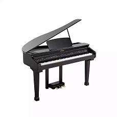 Цифровой рояль с автоаккомпанементом Orla Grand-120 Black