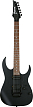 Электрогитара Ibanez RGRT420-WK, Черный - 1