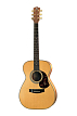 Электроакустическая гитара Maton EBG808 Artist - 1
