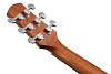 Акустическая гитара Ibanez Aad50-Lg - 5