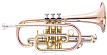 Корнет John Packer JP171SW - 1