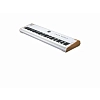 Сценическая клавиатура Arturia Astrolab 88 - 6