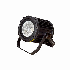 Involight COBPAR100TW - Всепогодный LED прожектор, 100Вт COB RGB.  DMX-512, ID