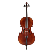 Виолончель в комплекте GEWA Cello Allegro-VC1 4/4 - 1