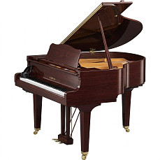 Дисклавир Yamaha DGCB ENCL SAW
