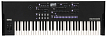 Синтезатор Korg WAVESTATE SE, Черный - 1