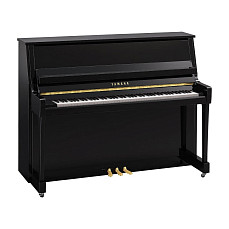 Акустическое пианино Yamaha B20 PE