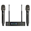 Микрофонная радиосистема Axelvox DX800FK - 1