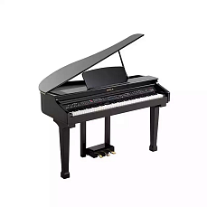 Цифровой рояль с автоаккомпанементом Orla Grand-120 Black
