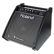 Персональный аудиомонитор Roland PM-100 - 1