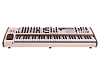 Синтезатор Arturia PolyBrute 12 - 3