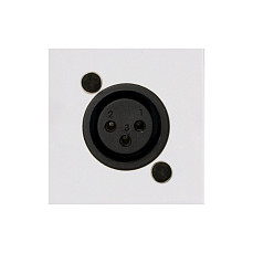 Модуль настенной панели AUDAC CP45XLFS/W