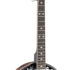 Банджо Stagg BJM-30 DL