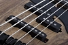 Бас-гитара Schecter MODEL-T 5 EXOTIC BLACK LIMBA Blue - 7