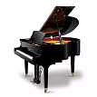 Акустический рояль Ritmuller GP148R1 (A111) Ebony Polish - 1