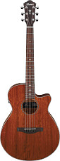 Акустическая гитара Ibanez AEG220-LGS