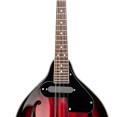 Электроакустическая мандолина Stagg M50 E