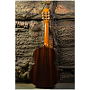 Классическая гитара Perez 610 Cedar - 3
