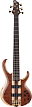 Бас-гитара Ibanez BTB1835-NDL - 1