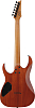 Электрогитара Ibanez GRGR221FA-TDK, Тёмный - 2