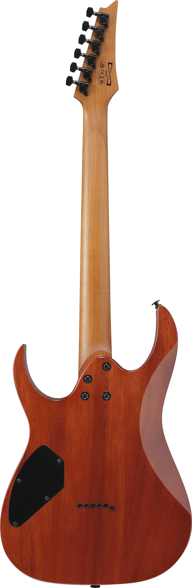 Электрогитара Ibanez GRGR221FA-TDK, Тёмный - 7