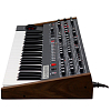Аналоговый синтезатор Sequential Prophet-6 Keyboard - 6