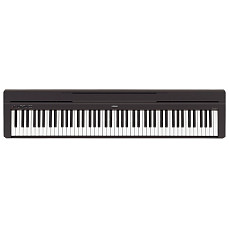 Цифровое пианино Yamaha P-48B