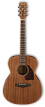 Акустическая гитара Ibanez PC12MH-OPN, Натуральный открытые поры - 1