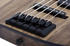 Бас-гитара Schecter MODEL-T 5 EXOTIC BLACK LIMBA Blue - 6