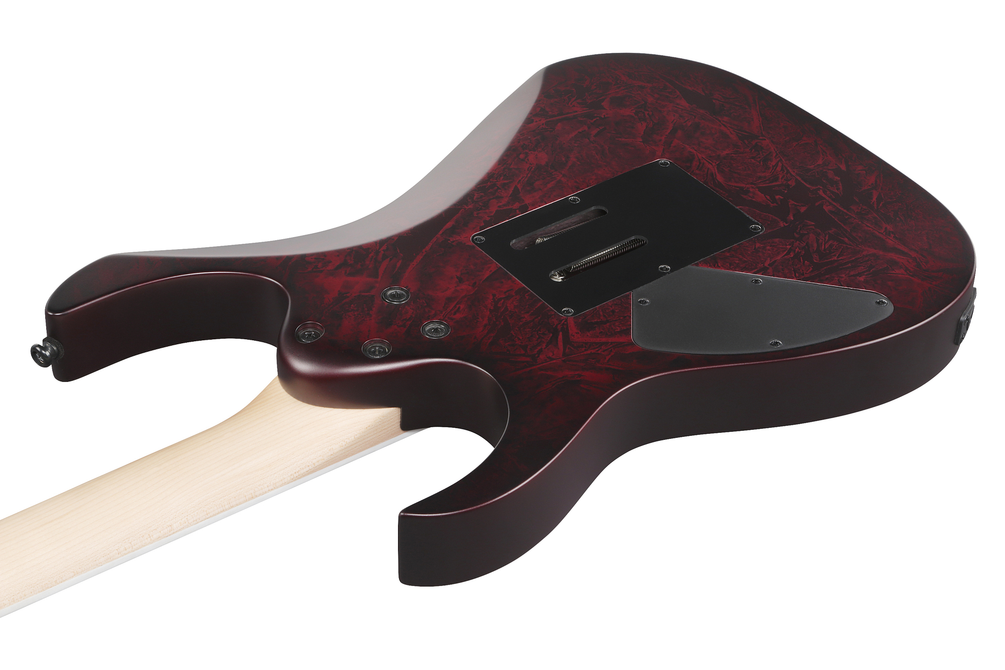 Электрогитара Ibanez RG470DXW-WZM - 11