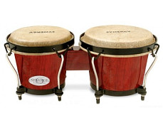 Toca 2100RR Bongo Synergy Series