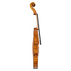 Скрипка GEWA Violin Germania 11 4/4 Model Berlin antique - 2