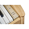 Цифровое пианино Roland KF-20 PO - 10
