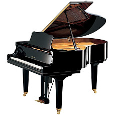 Дисклавир Yamaha DGC1 ENST PE