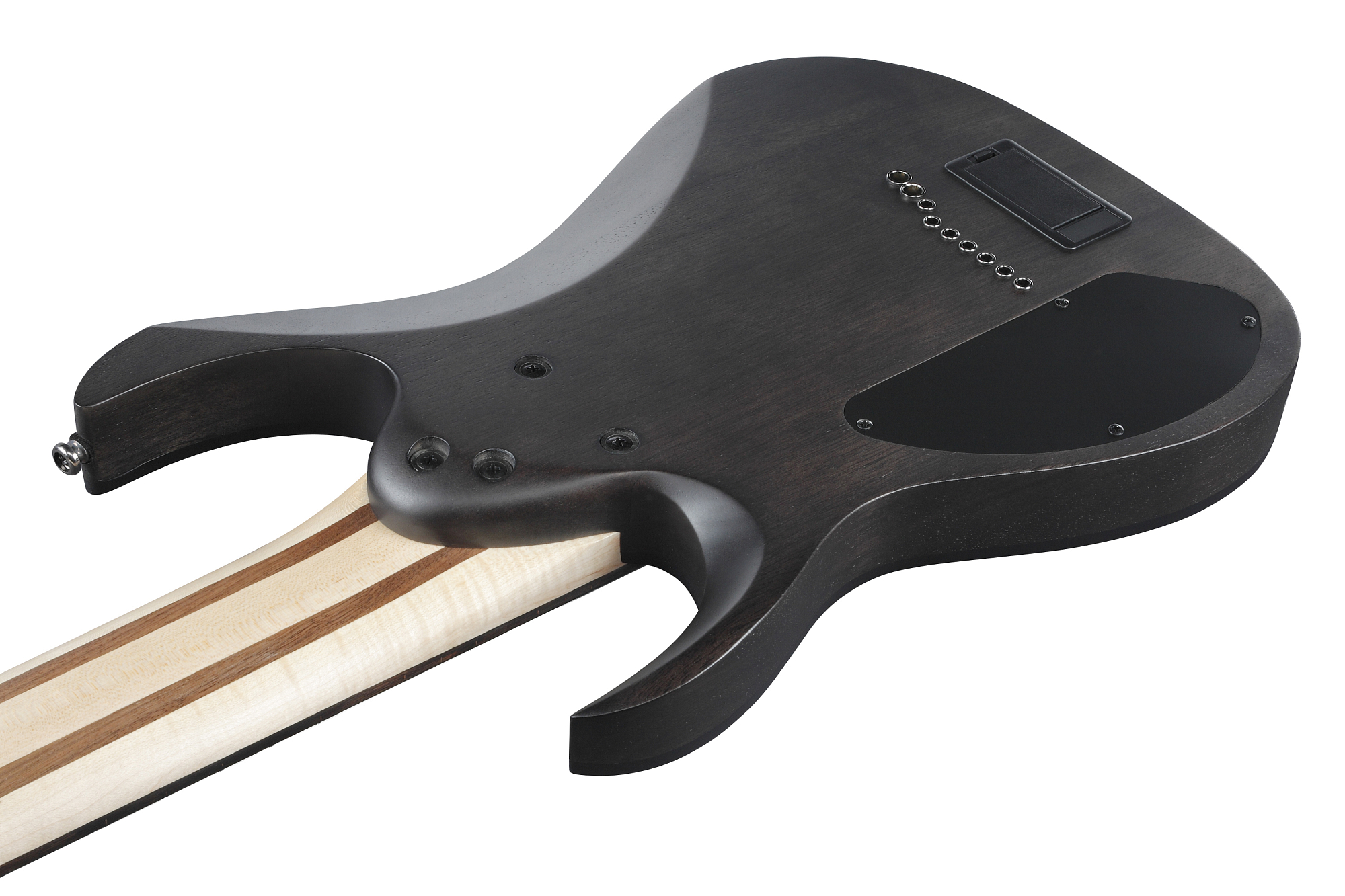 Электрогитара Ibanez RG9PB-TGF - 15