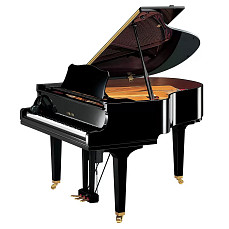 Дисклавир Yamaha DGB1K ENST PE