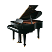 Акустический рояль Ritmuller GH160R (A111) Ebony Polish - 1