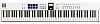 MIDI-клавиатура Arturia KeyLab Essential 88 mk3 White - 2
